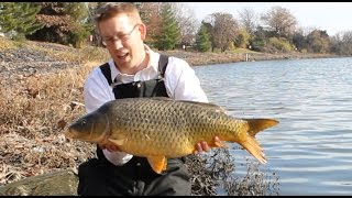 Carp fishing on my lunch break  crucian carp and common carp [upl. by Einahc]