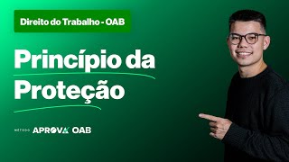 Direito do Trabalho para a OAB  Princípio da Proteção [upl. by Nina]