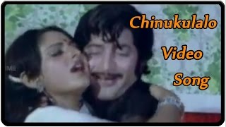 Chinukulalo Video Song  Rahasya Goodachari Movie  Krishna JayaPrada [upl. by Eniamirt]