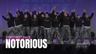 Notorious  Vibestreet Dance  Summit Dance Challenge [upl. by Lytton536]