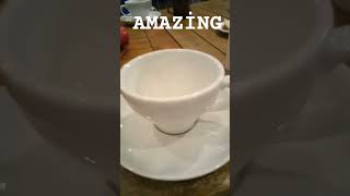 White Cup and saucer shortvideos short [upl. by Maximilianus]