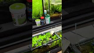 Best Aquarium Heater fishtank aquarium fishkeeping [upl. by Neelahtak]