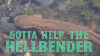 Help the Hellbender [upl. by Zurn]