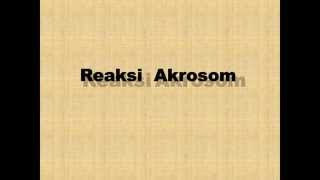 Reaksi Akrosom by Klinik Andrologi dr Anton Darsono Wongso SpAnd [upl. by Elias749]