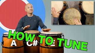 How To Tune a Set of Congas [upl. by Elam939]