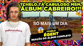 BARRAS TCHELO  É QUE EU NASCI TEIMOSO REACT PARTE 1 [upl. by Aimac]