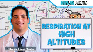 Respiratory  Respiration at High Altitudes [upl. by Valer]