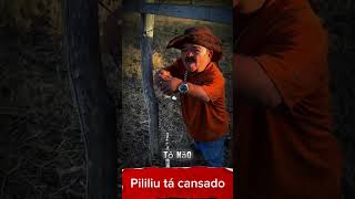 Pililiu tá cansado pililiu [upl. by Alvinia]