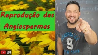 Reprodução das Angiospermas  Botânica  Biologia com o Tubarão [upl. by Janna]