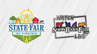 Market Lamb Show  State Fair of Virginia 2024 [upl. by Olimac]