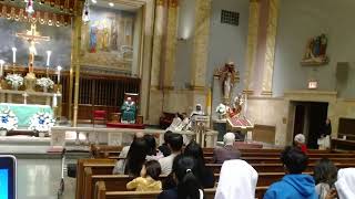 Sisters of Mary Immaculate Jubilee Mass [upl. by Noelyn]