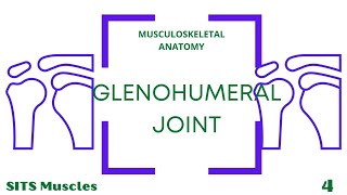 Rotator Cuff Muscles [upl. by Notsnhoj]