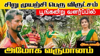 சிறு முயற்சி பெரு விருட்சம் l பூங்கன்று வளர்ப்பில் அமோக வருமானம்  Adaiyalam  Nomika [upl. by Gardal]