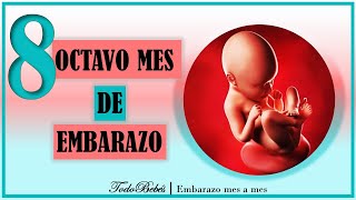 ❤️ OCTAVO MES DE EMBARAZO🤰 ⏩ SEMANA 31 a 35 ⏩ TERCER TRIMESTRE ⏩ Desarrollo y Evolución del Bebe [upl. by Godric596]