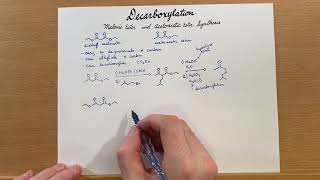 Decarboxylation Malonic Ester and Acetoacetic Ester Synthesis [upl. by Shotton]