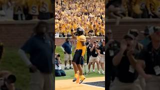 Luther Burden III TD Catch 🏈🤝🐅  Mizzou mizzou touchdown catch sec collegefootball [upl. by Holub]