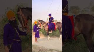 ਨੁਕਰੇ ਤੋ ਗੱਬਣ ਆ horse hoursepower automobile horselover hourselover car hourse newcar [upl. by Aneerehs]