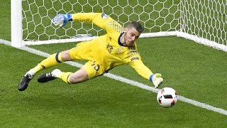 Best Goalkeeper Saves ● Euro 2016 [upl. by Fanya]