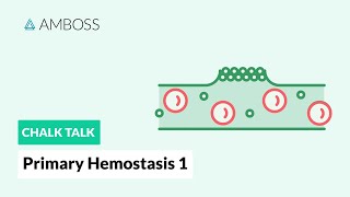 Primary Hemostasis  Part 1 Platelet Adhesion [upl. by Annunciata324]