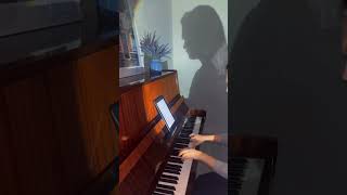 Formidable Stromae formidable stromae piano music [upl. by Anoerb741]