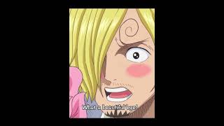 Sanji and Pudding editonepiece onepieceedit sanji puddingonepice [upl. by Laubin738]