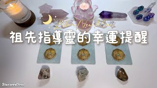 🤍塔羅占卜 新月禮物：來自祖先指導靈的幸運提醒Timeless [upl. by Rorke990]