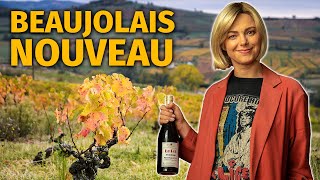 The Guide to BEAUJOLAIS NOUVEAU Wine [upl. by Anahsahs]