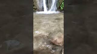 Rishikesh song music love bollywood mountains youtubeshorts travel youtube rishikesh [upl. by Lomaj]