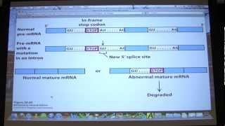 47 Biochemistry Transcription III  Translation I Lecture for Kevin Aherns BB 451551 [upl. by Ailemap]