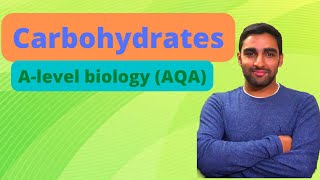 Carbohydrates  Alevel Biology [upl. by Lepley]