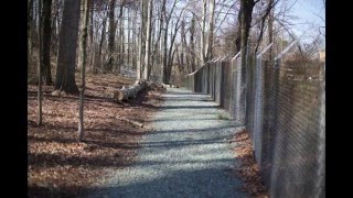 Rivanna Trail in 3 Minutes [upl. by Eenal]