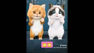 Kucing cute comel gemoy🤩🐱 kucing cat subscribe like ai [upl. by Stewart724]