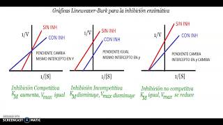 Cinética Enzimática  Diagrama de LineweaverBurk con inhibición  Ejemplo [upl. by Aldora562]