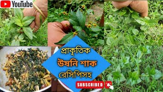 প্রাকৃতিক উষনি শাকগুণাগুণ ও বিস্তারিত।।Acmella oleracea।।Collecting and cooking natural vegetables [upl. by Starr]