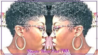 How to Bantu Knot Twist out 3C TWA Easy Method [upl. by Brendis]