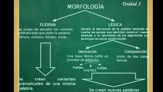 Introducción a la Morfología [upl. by Kirtap]