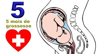 5 mois de grossesse  tout bouge  EnceinteSante [upl. by Oetam]