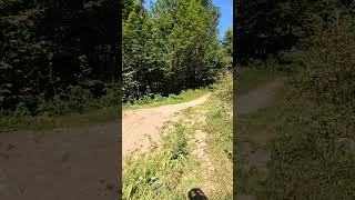 Klínovec baikepark dh line last jump Klinovec mountainbike downhill fypage mtbbike downhillmtb [upl. by Natehc923]