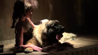 Photoshoot with Leonberger Dog [upl. by Siri]