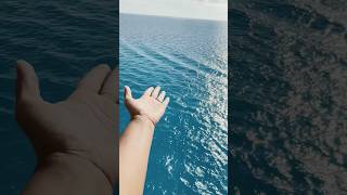 Balcony view from Royal Caribbean cruise⛴️royalcaribbeancruiseshotsoseanshortsfeedshortvideo [upl. by Lucky]