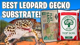 BEST LEOPARD GECKO SUBSTRATE [upl. by Felisha]