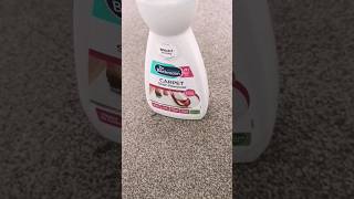 Dr Beckmann carpet stain Removal Actually works viral [upl. by Hendrika]