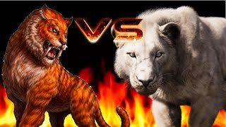 Smilodon Populator VS American Lion [upl. by Ahsirpac]