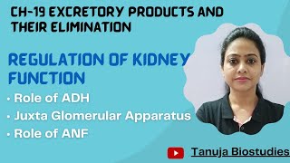 Ch19 Excretory product amp their eliminationRegulation of Kidney functionJGAClass 11 BiologyNEET [upl. by Seugirdor]