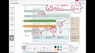 17 Alpha hydroxylase enzyme deficiency endocrinology 25  First Aid USMLE Step 1 in UrduHindi [upl. by Novj]