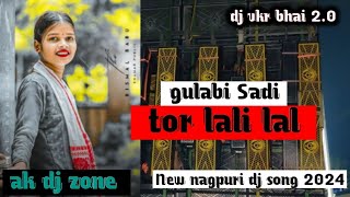 Gulabi Sadi Tor Lali Lal  New Theth Nagpuri Dj Song 2024  Old Nagpuri Dj Dj vkr bhai 20 [upl. by Nyleahcim]