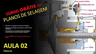 Aula 02  CURSO GRATÍS DE PLANOS DE SELAGEM EM 12 AULAS  Conheça os planos de selagem API de bombas [upl. by Leoy]