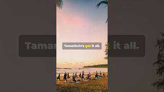 Tamarindos Got it all You Wont BELIEVE it Costa Rica shorts travel costarica [upl. by Cordi465]