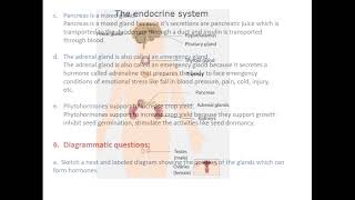 Class 9  Science and Technology  Chapter 5 Glandular System Part III Exercises  Solutions [upl. by Laon]