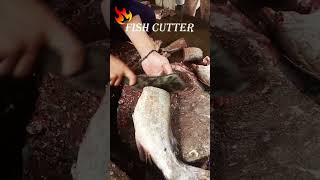 WOW FRESH 🔥 CATFISH CUTTING KARACHI PAKISTAN fishkurt  shorts short youtubeshorts [upl. by Odele]